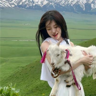 霸王大系龙骑士